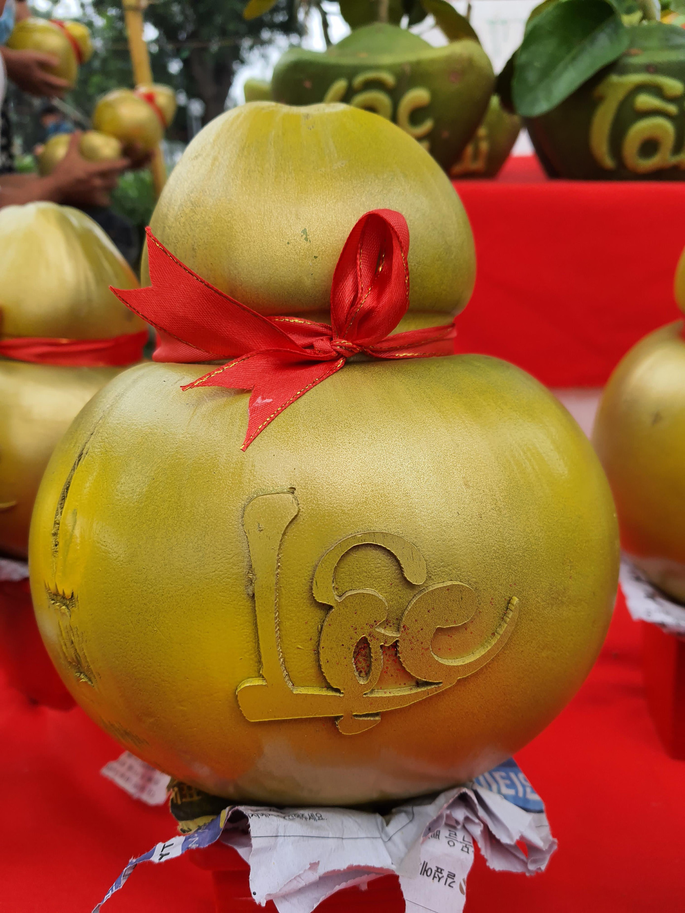 Bưởi Tài Lộc, dừa hồ lô độc đáo tiền triệu thu hút khách chơi Tết ảnh 4