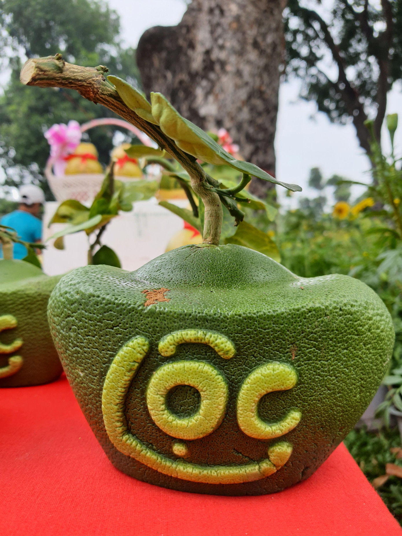 Bưởi Tài Lộc, dừa hồ lô độc đáo tiền triệu thu hút khách chơi Tết ảnh 3