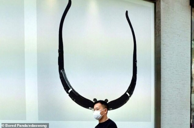 Nhiếp ảnh gia gây ‘bão’ mạng với những khoảnh khắc trùng hợp đến khó tin ảnh 4