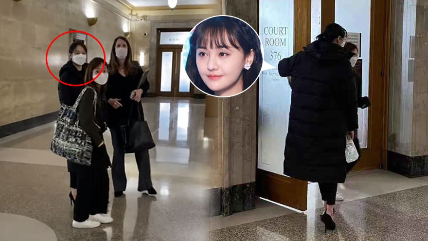 Trịnh Sảng sang Mỹ dự phiên tòa giành quyền nuôi con, hé lộ loạt tình tiết sốc ảnh 3