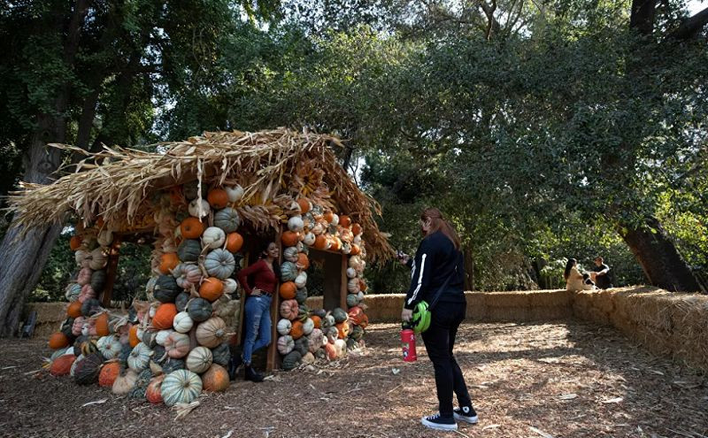 Không khí lễ hội Halloween toàn cầu: Hình nộm bí ngô cũng phải đeo khẩu trang! ảnh 4