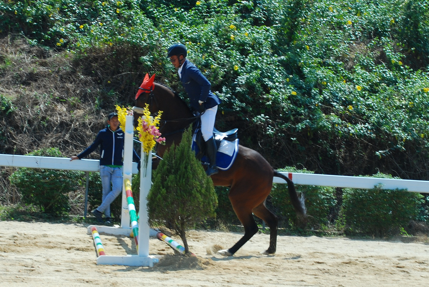 Ra mắt CLB Cưỡi ngựa Olympic ảnh 6