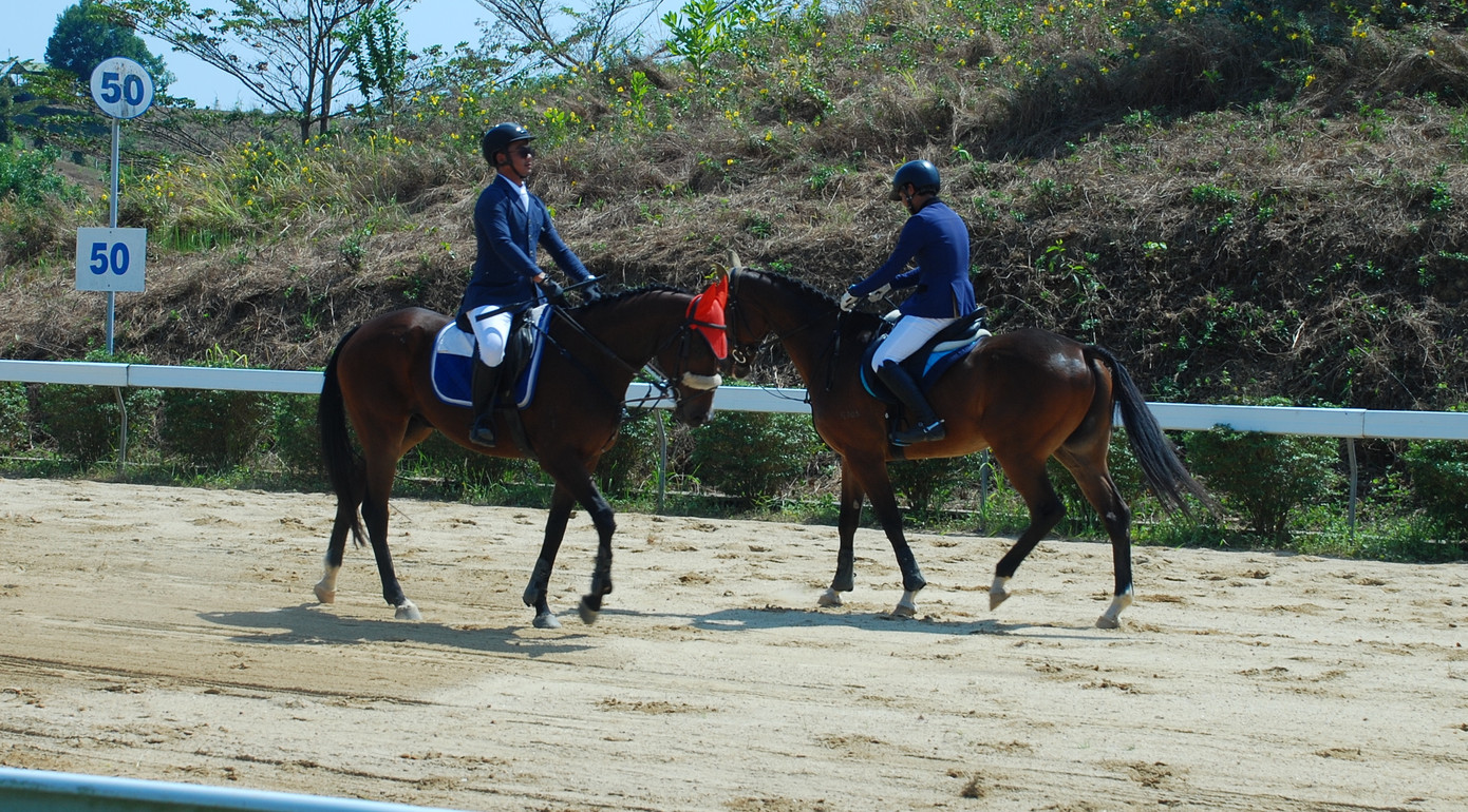 Ra mắt CLB Cưỡi ngựa Olympic ảnh 2