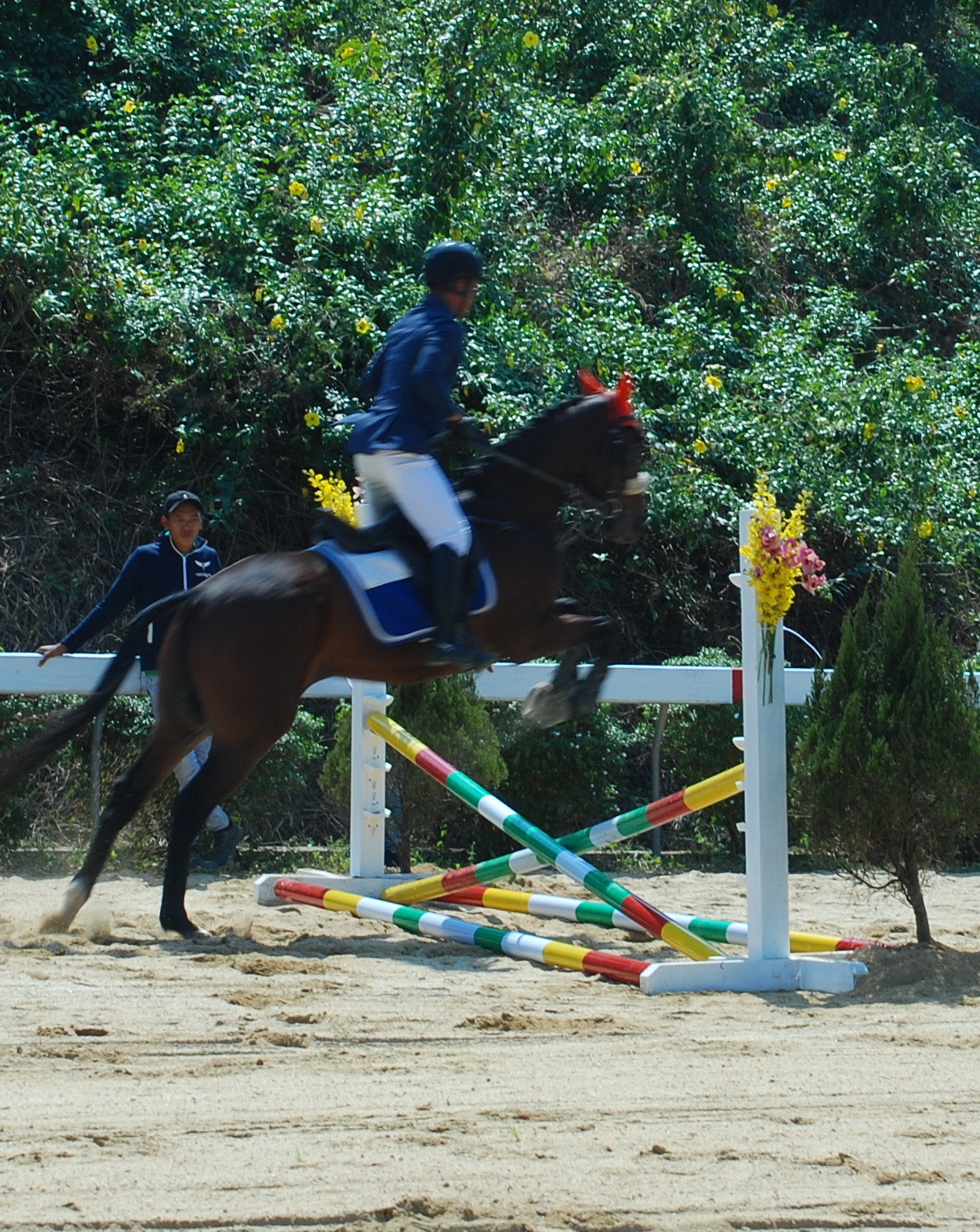 Ra mắt CLB Cưỡi ngựa Olympic ảnh 4