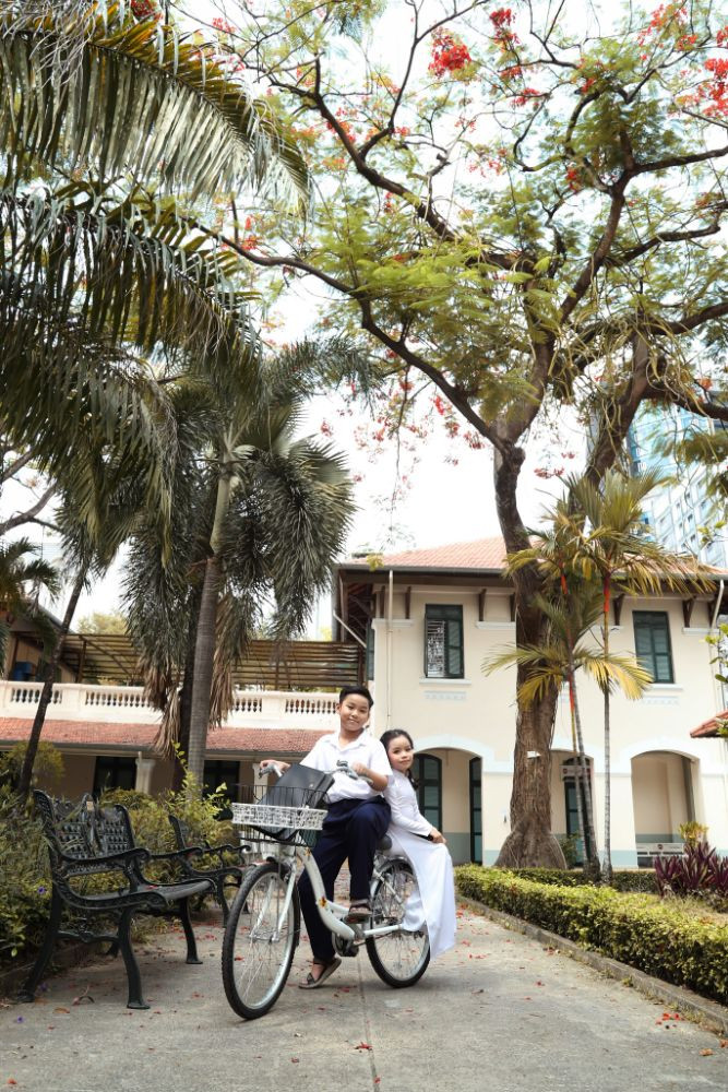 Đẹp nao lòng với ảnh 2 mẫu nhí chụp cùng hoa phượng trước khi nhập học ảnh 3