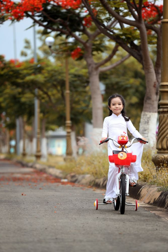 Đẹp nao lòng với ảnh 2 mẫu nhí chụp cùng hoa phượng trước khi nhập học ảnh 4