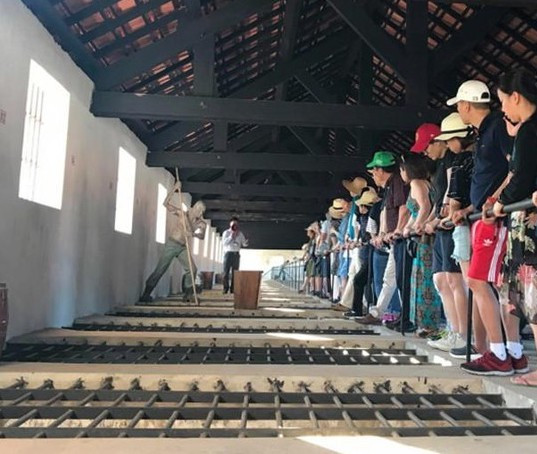 Côn Đảo kiến nghị tạm dừng đón khách nước ngoài ảnh 2