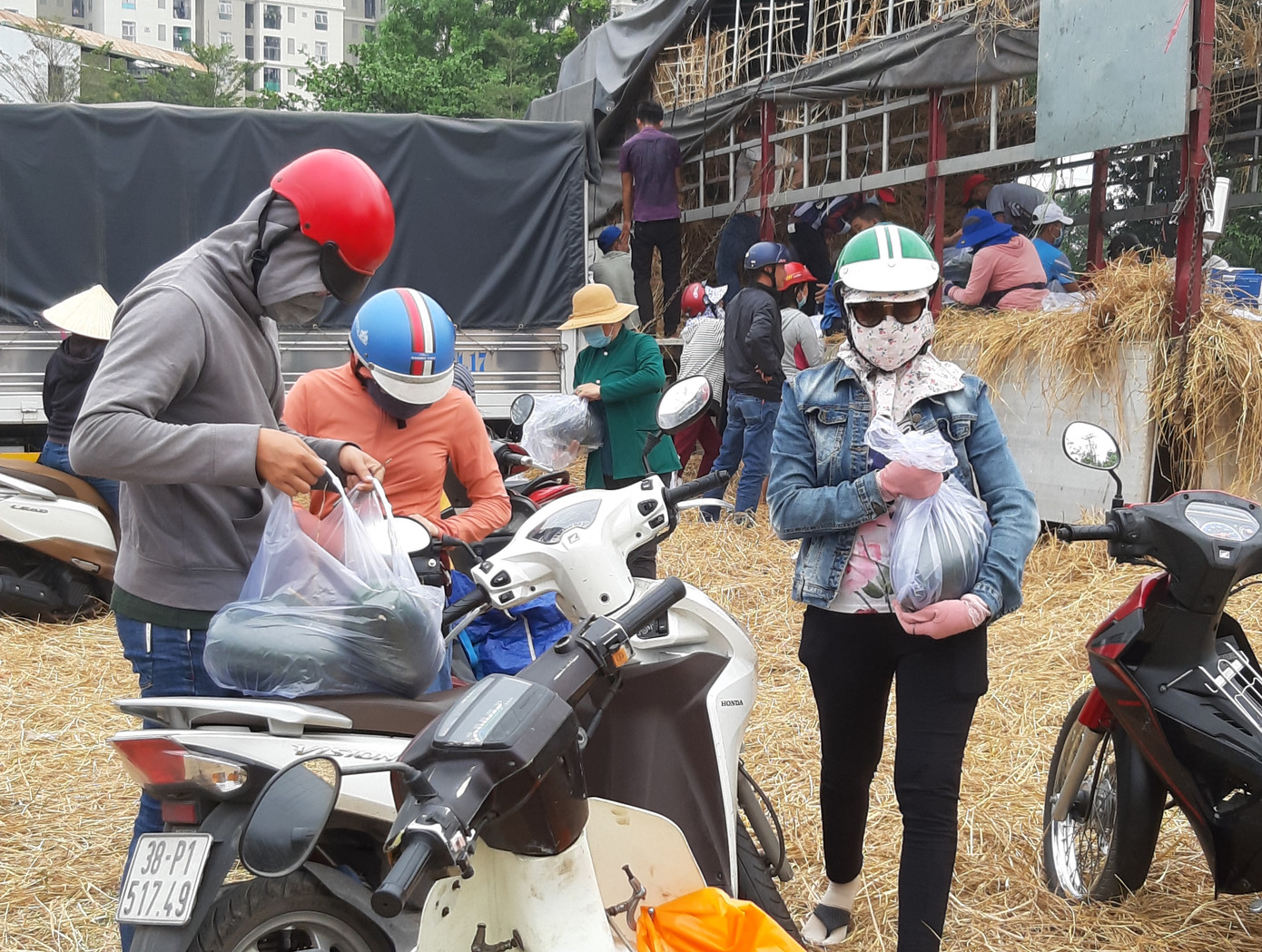 Người Sài Gòn 'giải cứu dưa' giúp nông dân Bình Định ảnh 5