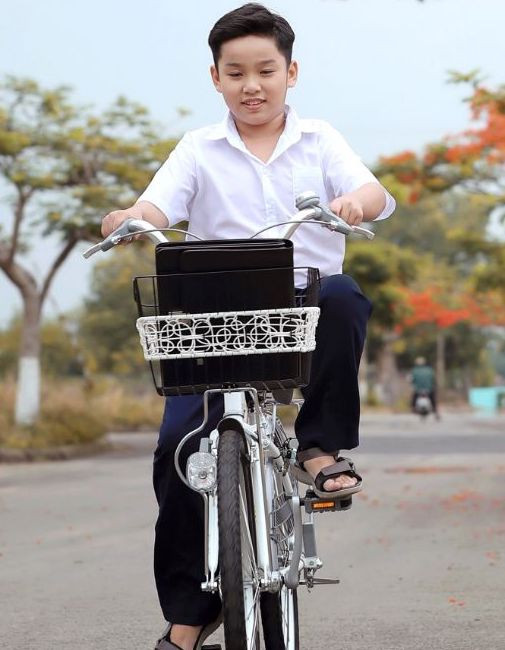 Đẹp nao lòng với ảnh 2 mẫu nhí chụp cùng hoa phượng trước khi nhập học ảnh 5