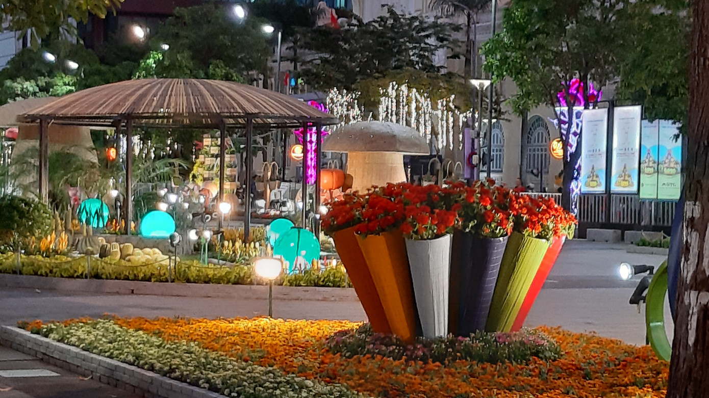 Trên 1 triệu du khách tham quan đường hoa Nguyễn Huệ ảnh 2