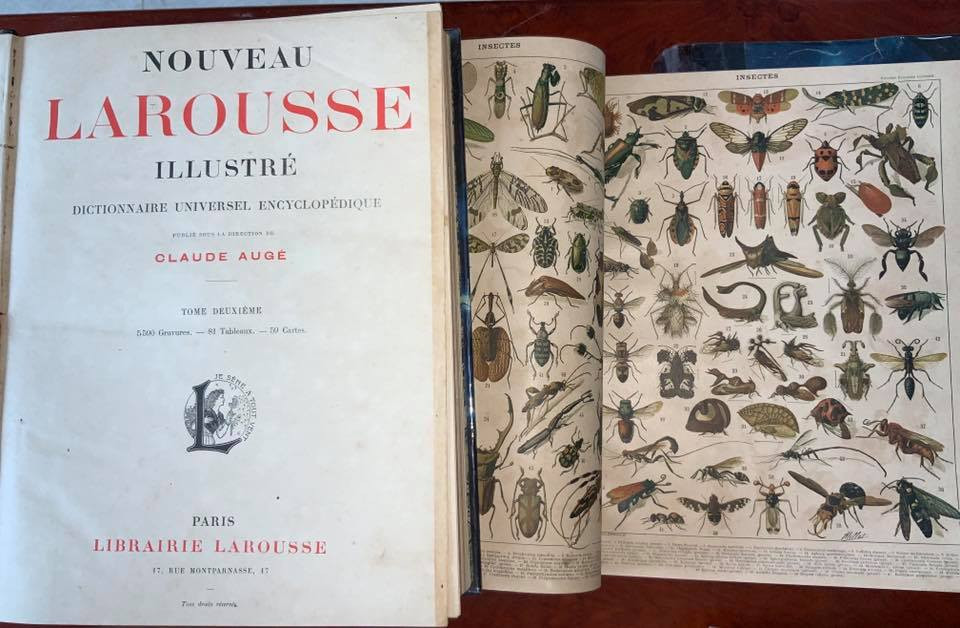 Chiếc xe Citroen cổ của NSND Út Trà Ôn được trả giá nửa tỷ đồng ảnh 3