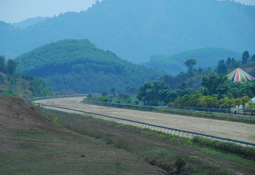 Ra mắt CLB Cưỡi ngựa Olympic ảnh 1