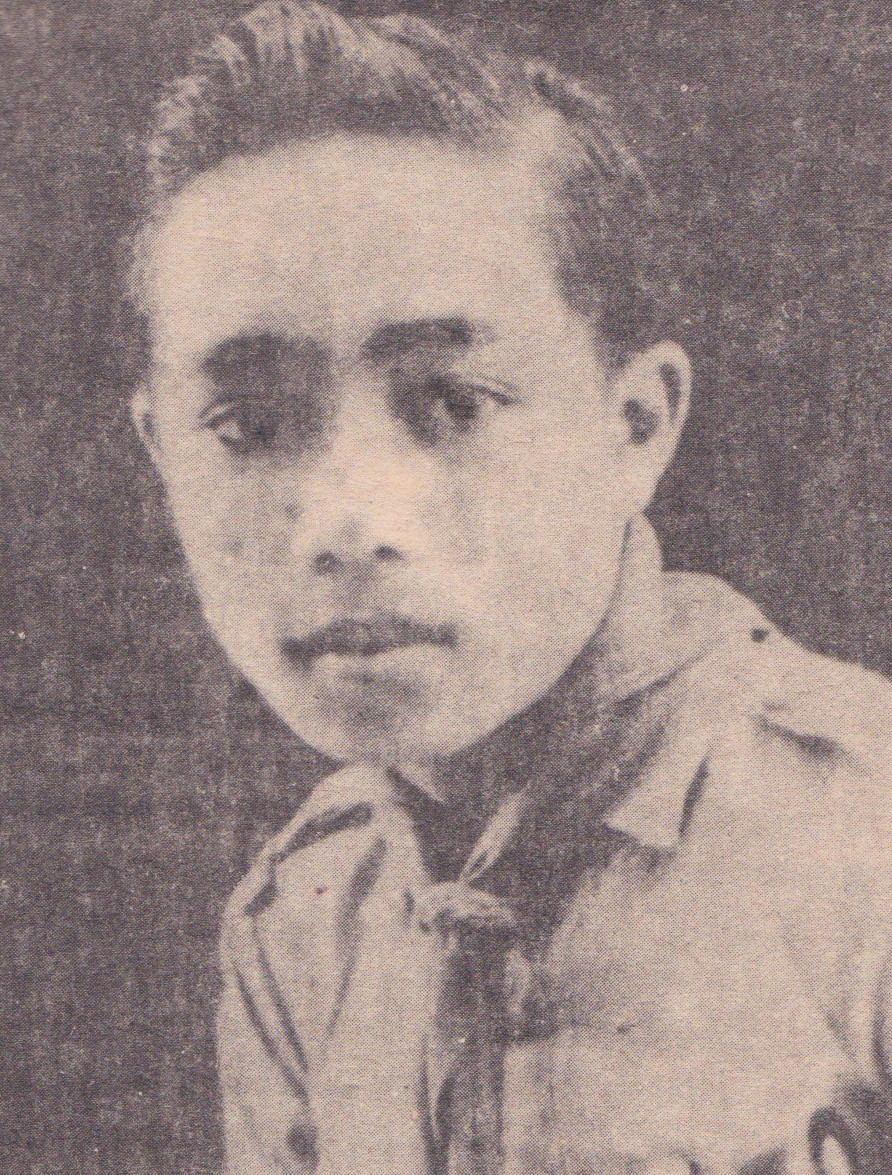 Con trai nhạc sỹ Phan Huỳnh Điểu nhắc về tình cảm hơn 60 năm sâu đậm của cha mẹ ảnh 2