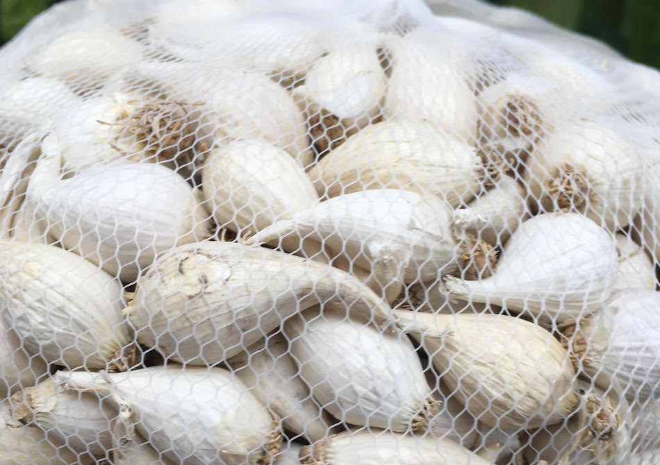 Bà Lương Hoàng Anh bị phạt 12,5 triệu đồng vì tung tin thất thiệt về tỏi Lý Sơn ảnh 2