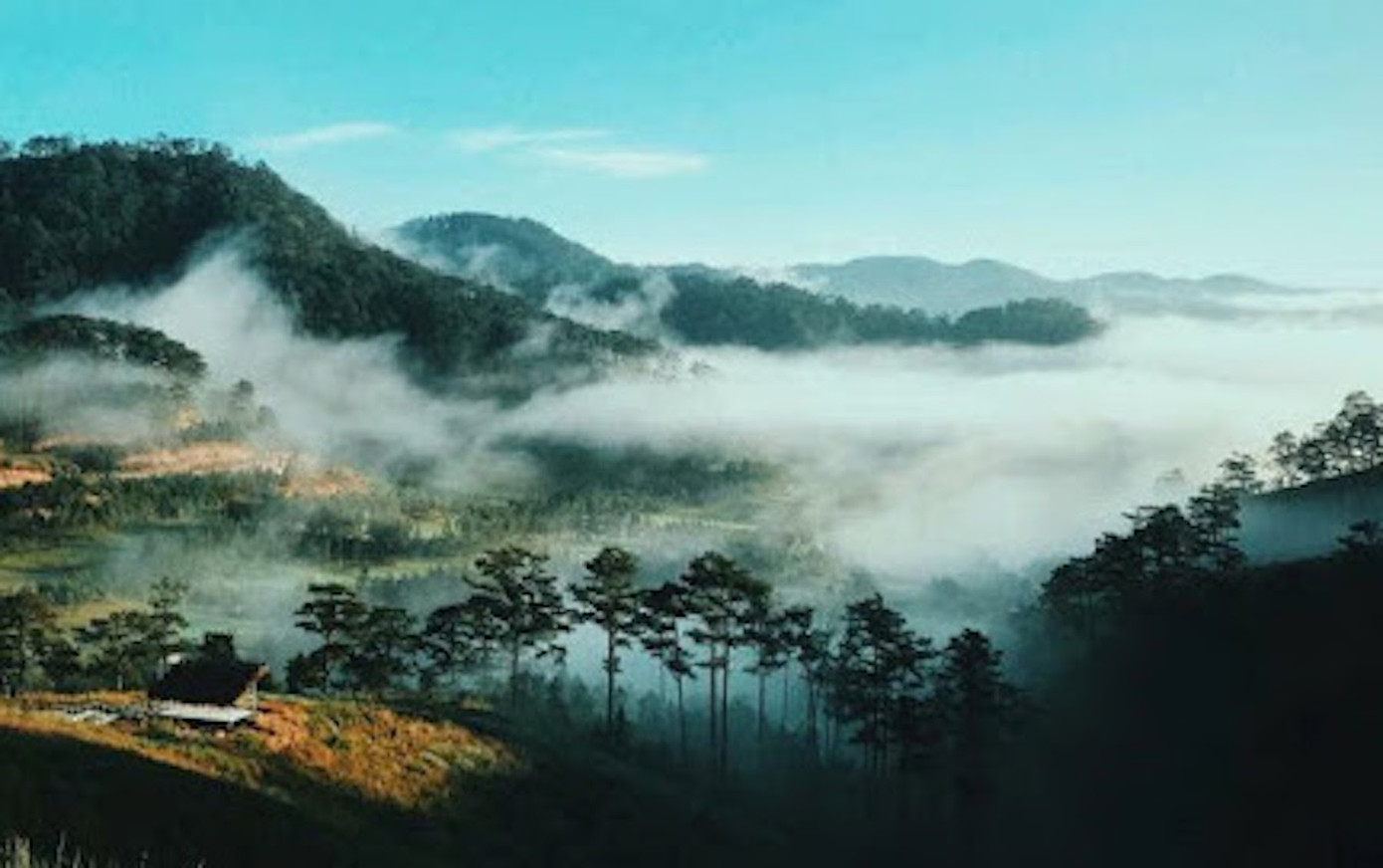 'Thành phố buồn': Ca khúc của Lam Phương được bán kỷ lục gần nửa triệu USD ảnh 1