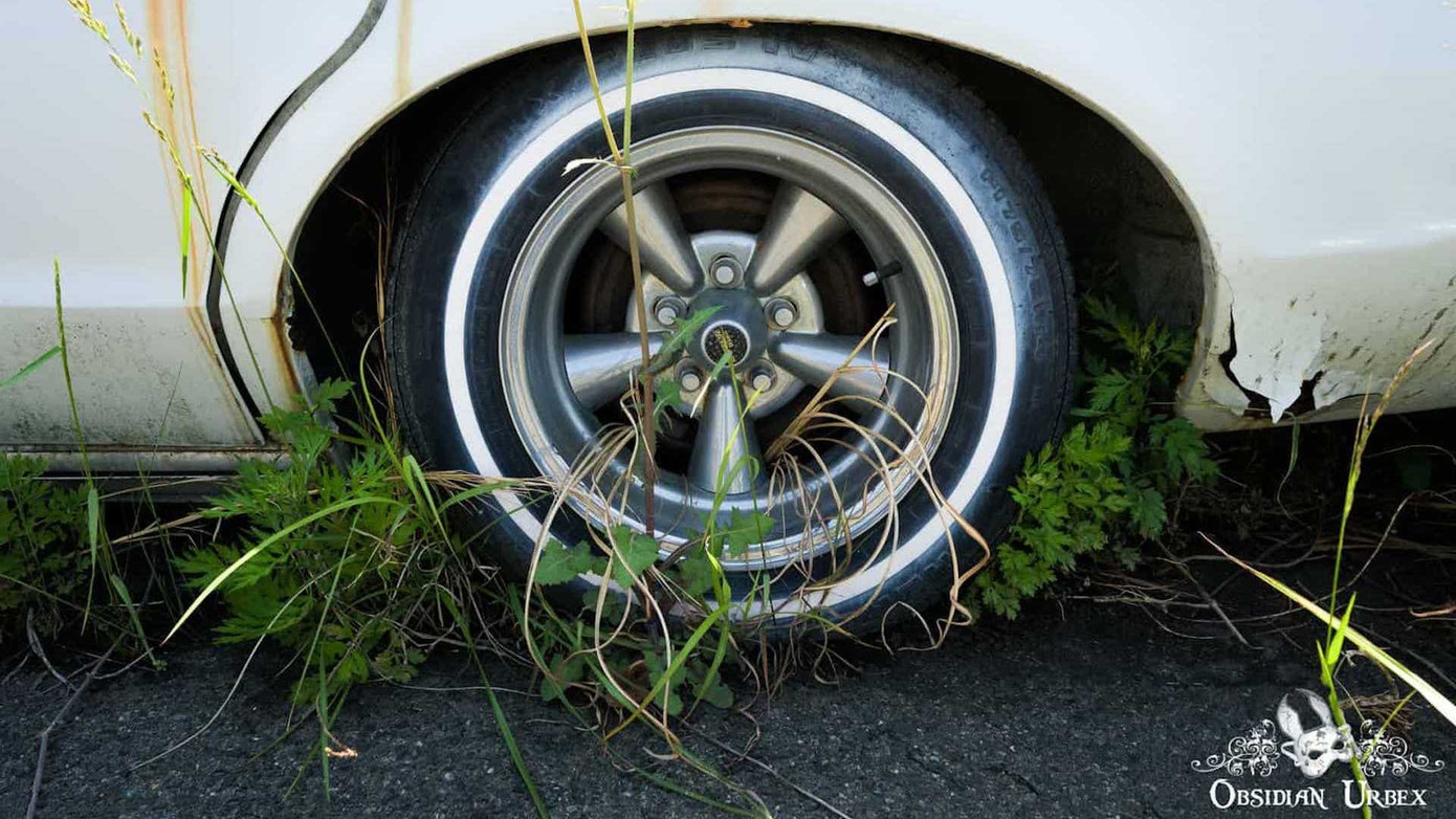 Xe cổ bị bỏ hoang sau vụ nổ hạt nhân ở Nhật Bản ảnh 9