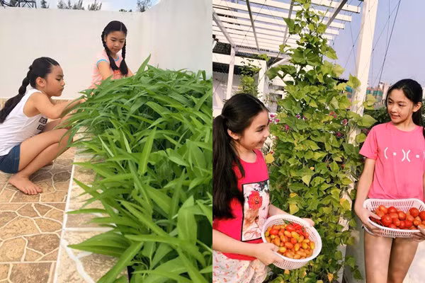 Căn biệt thự 21 tỷ của Quyền Linh đẹp tới mức nào mà ai cũng khen ngợi? ảnh 5