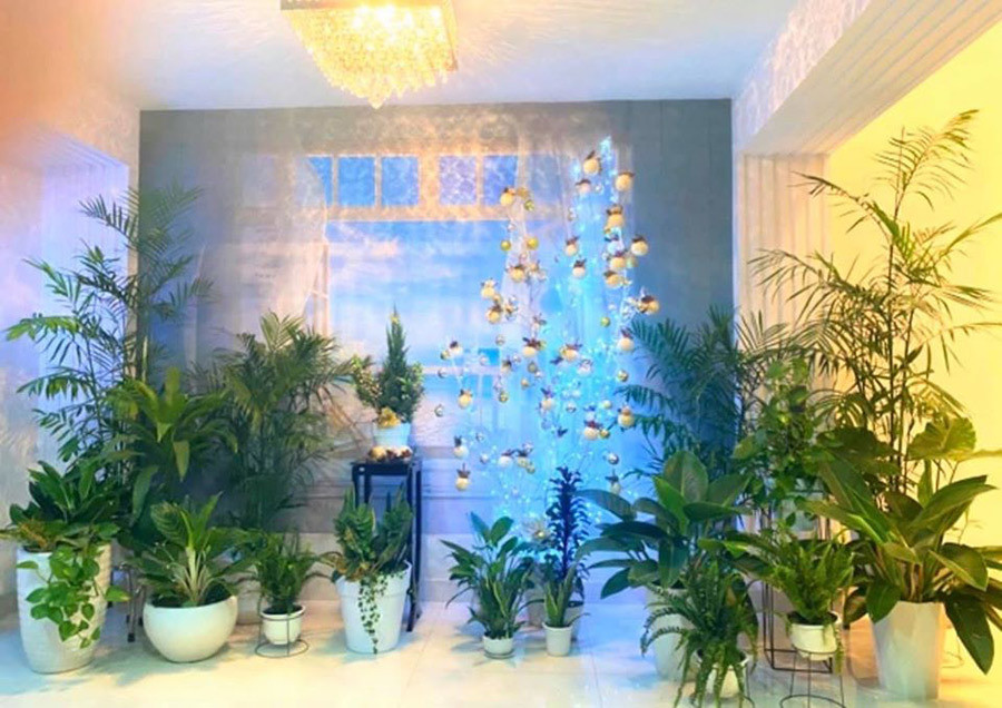 Căn biệt thự 21 tỷ của Quyền Linh đẹp tới mức nào mà ai cũng khen ngợi? ảnh 8