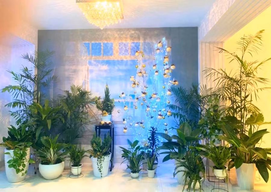 Căn biệt thự 21 tỷ của Quyền Linh đẹp tới mức nào mà ai cũng khen ngợi? ảnh 8