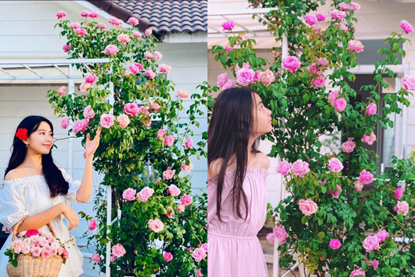 Căn biệt thự 21 tỷ của Quyền Linh đẹp tới mức nào mà ai cũng khen ngợi? ảnh 7