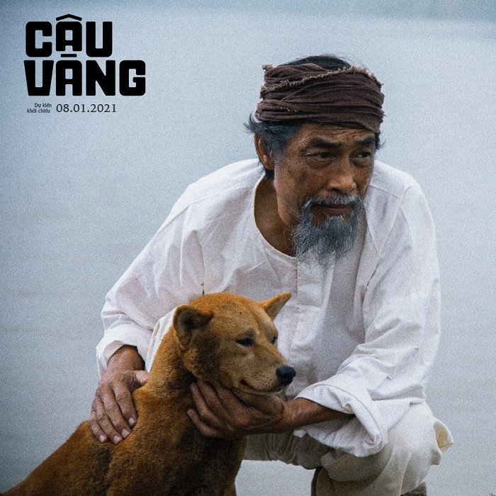 Lão Hạc và “câu Vàng” 3xuất hiện trên màn ảnh có giống như những gì khán giả đã hình dung? ảnh 8