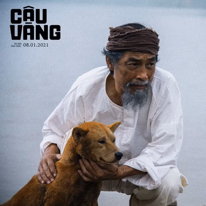Lão Hạc và “câu Vàng” 3xuất hiện trên màn ảnh có giống như những gì khán giả đã hình dung? ảnh 8