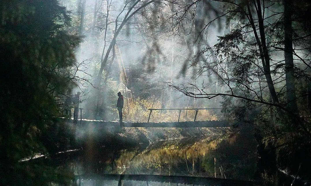“Dạ quỷ rừng sâu”, Tác phẩm kinh dị về quỷ dữ mở màn tháng Halloween không thể bỏ lỡ! ảnh 1