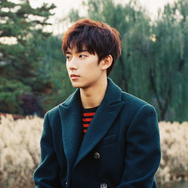 [Đẹp] Giảm 5kg trong vòng 1 tuần chỉ nhờ 9 món ăn đơn giản của các Idol ảnh 8