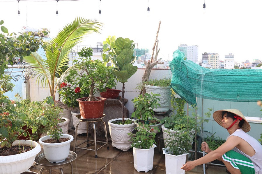 Phan Hiển chi hơn trăm triệu đồng cho vườn hồng trên sân thượng, tặng Khánh Thi ảnh 1