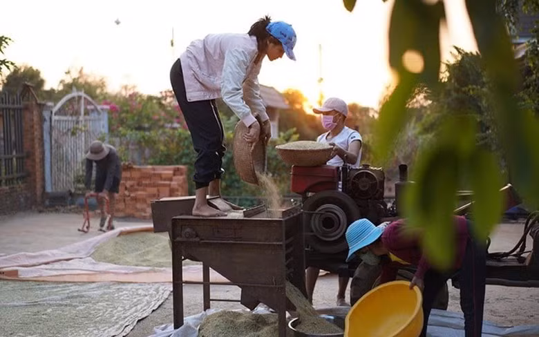 Giãn cách xã hội dài ngày, sao Việt rủ nhau về quê làm "nông dân" như thật ảnh 4