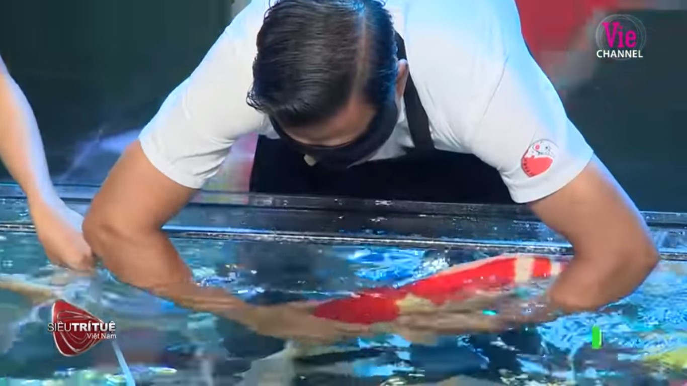 Bất ngờ màn trình diễn hơn 8 tỷ đồng của ‘vua cá koi’ ở 'Siêu trí tuệ Việt Nam' ảnh 2