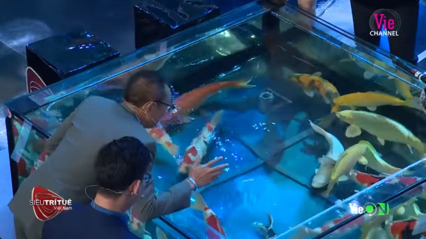 Bất ngờ màn trình diễn hơn 8 tỷ đồng của ‘vua cá koi’ ở 'Siêu trí tuệ Việt Nam' ảnh 3