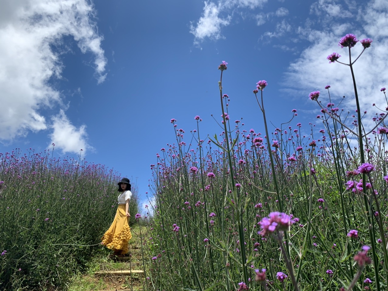 Tung gói kích cầu du lịch, du khách đến Lào Cai dịp lễ vẫn giảm gần 90% ảnh 4