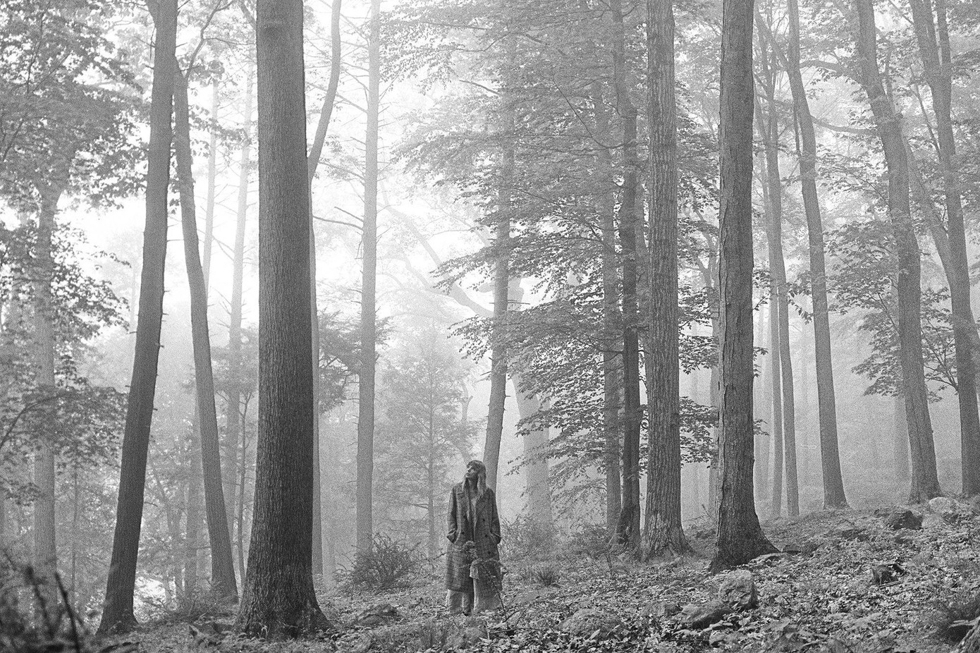 Gây sốc kiểu Taylor Swift: Ra mắt album thứ hai trong năm 2020 ngay sát sinh nhật tuổi 31 ảnh 1