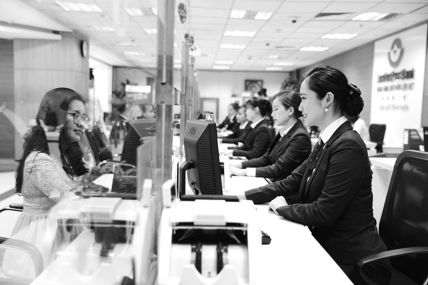 Câu chuyện về người nông dân làm giàu từ loại 'rau hoàng đế' ảnh 1