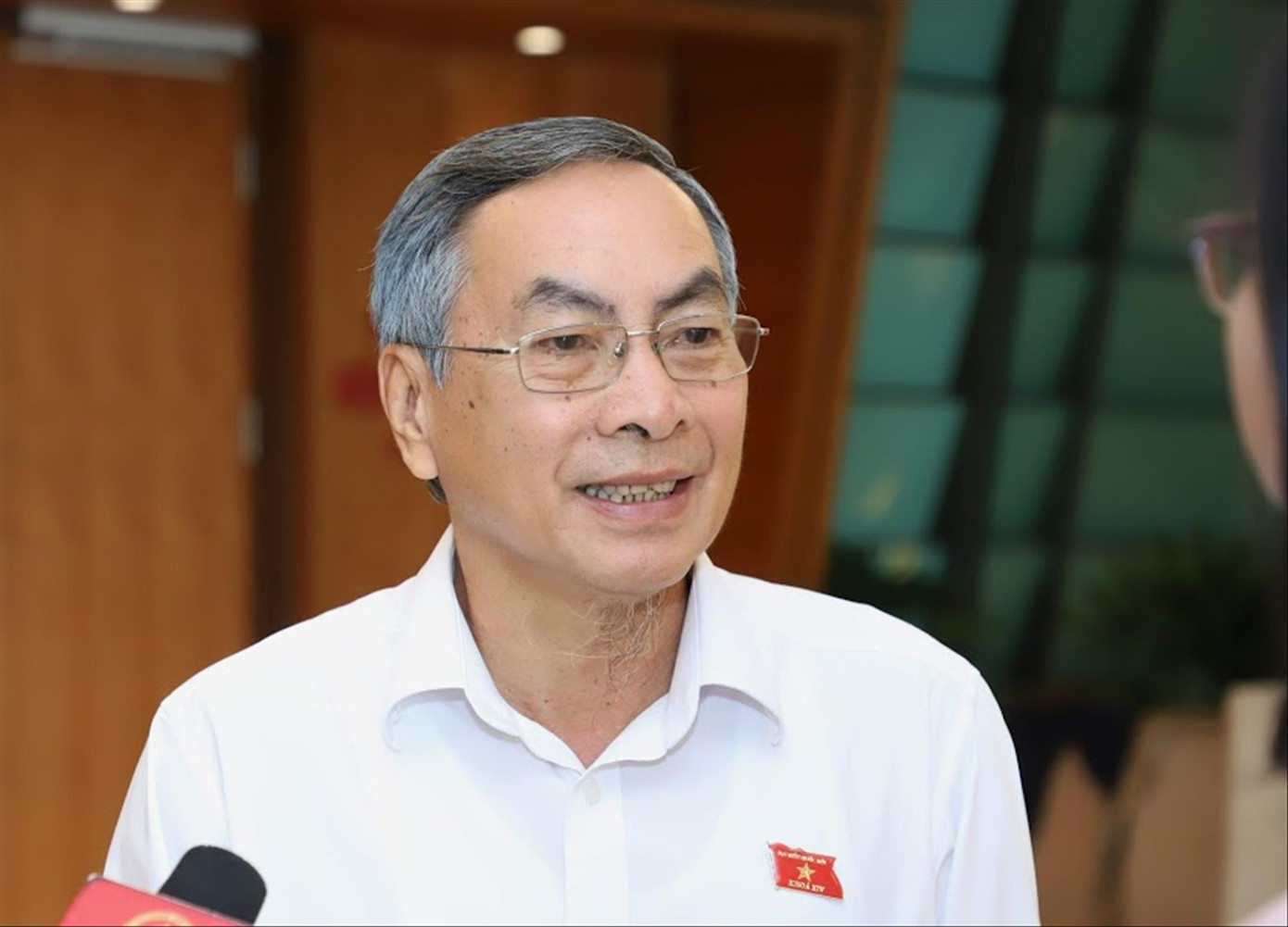 Đại biểu Phạm Phú Quốc có quốc tịch Síp nên xin thôi nhiệm vụ ảnh 1