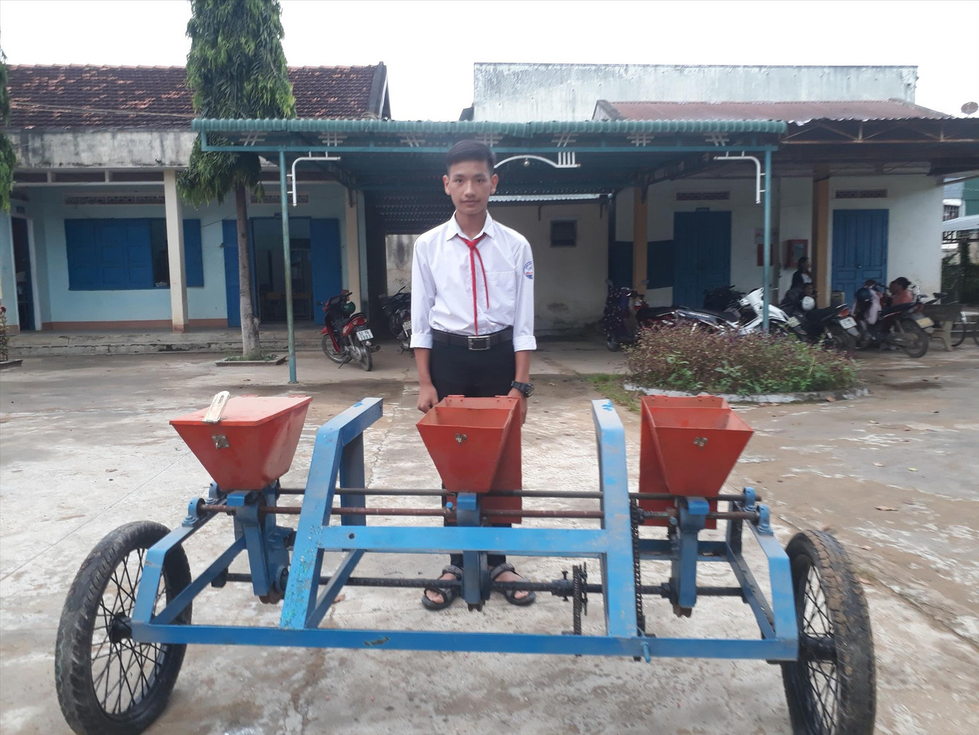 Hoa thơm dâng Bác ảnh 2