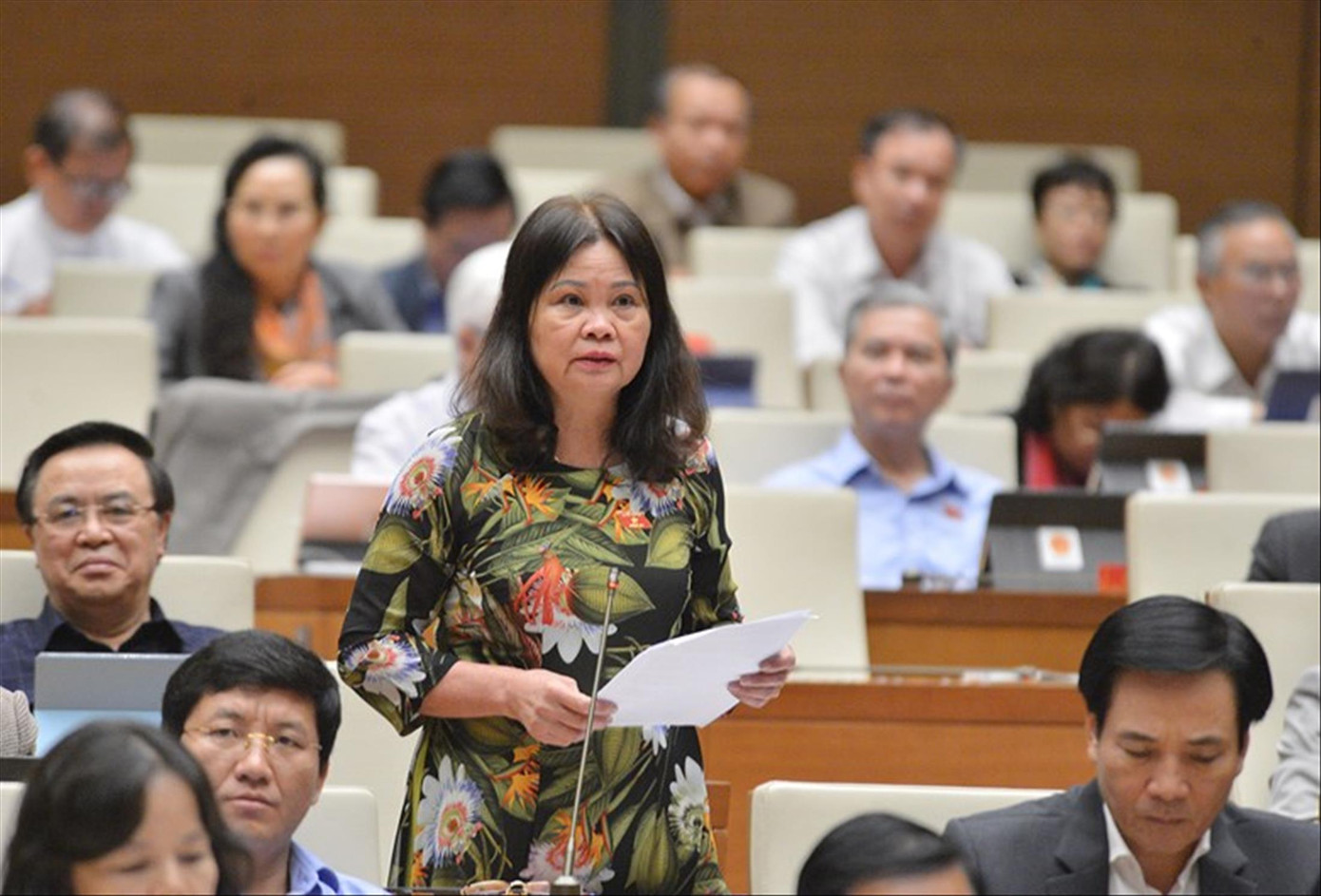 Đại biểu Quốc hội băn khoăn về thuỷ điện nhỏ: Bộ trưởng Công Thương nói gì? ảnh 2