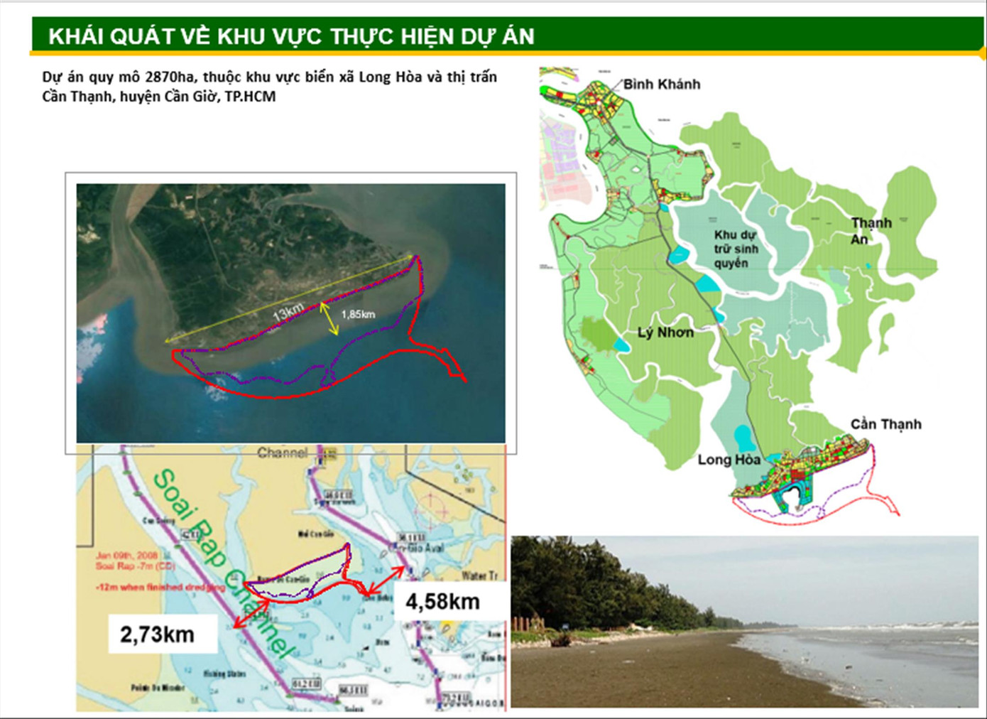 Dự án Cần Giờ tác động không đáng kể rừng ngập mặn ảnh 1