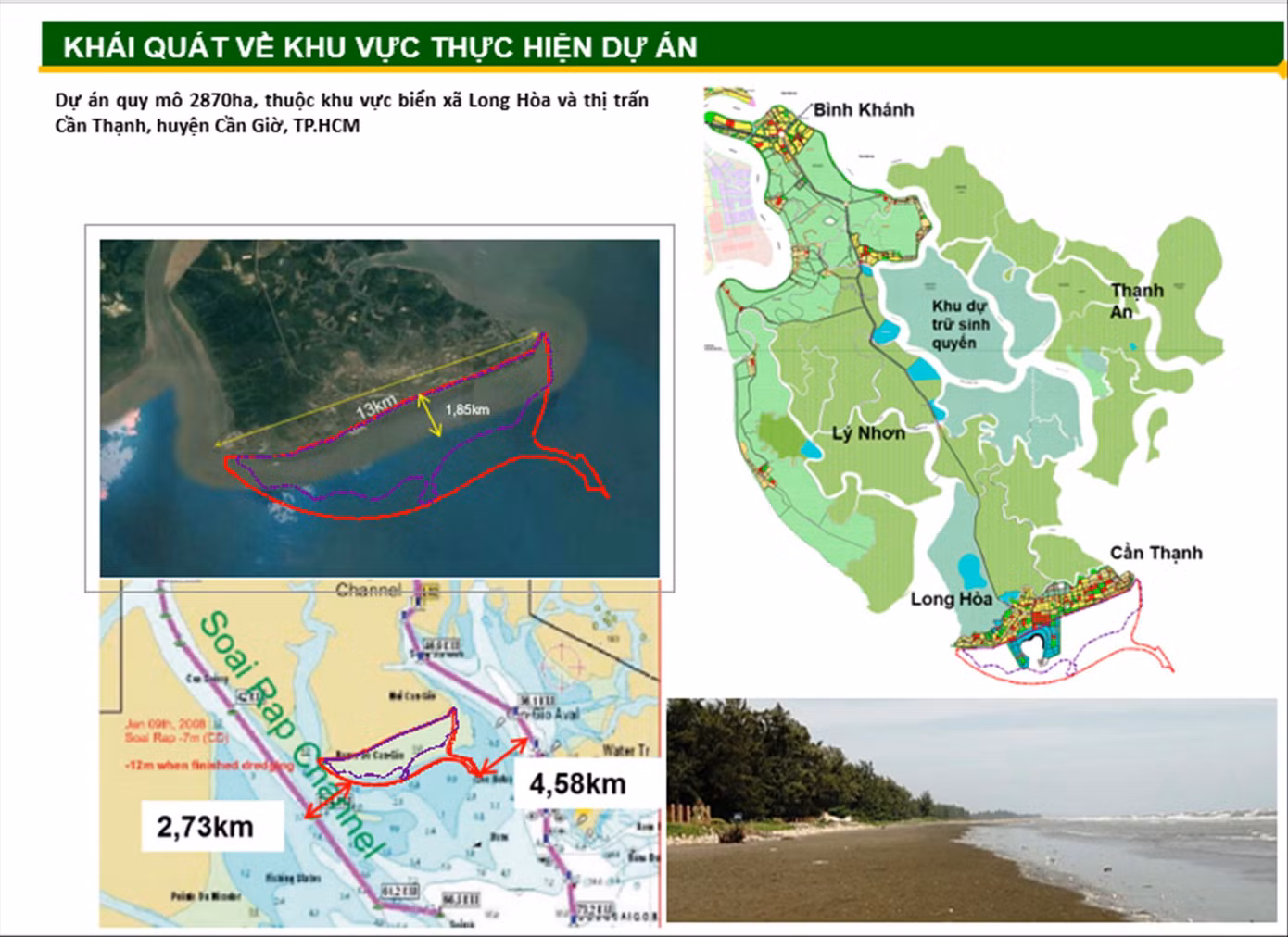 Dự án Cần Giờ tác động không đáng kể rừng ngập mặn ảnh 1