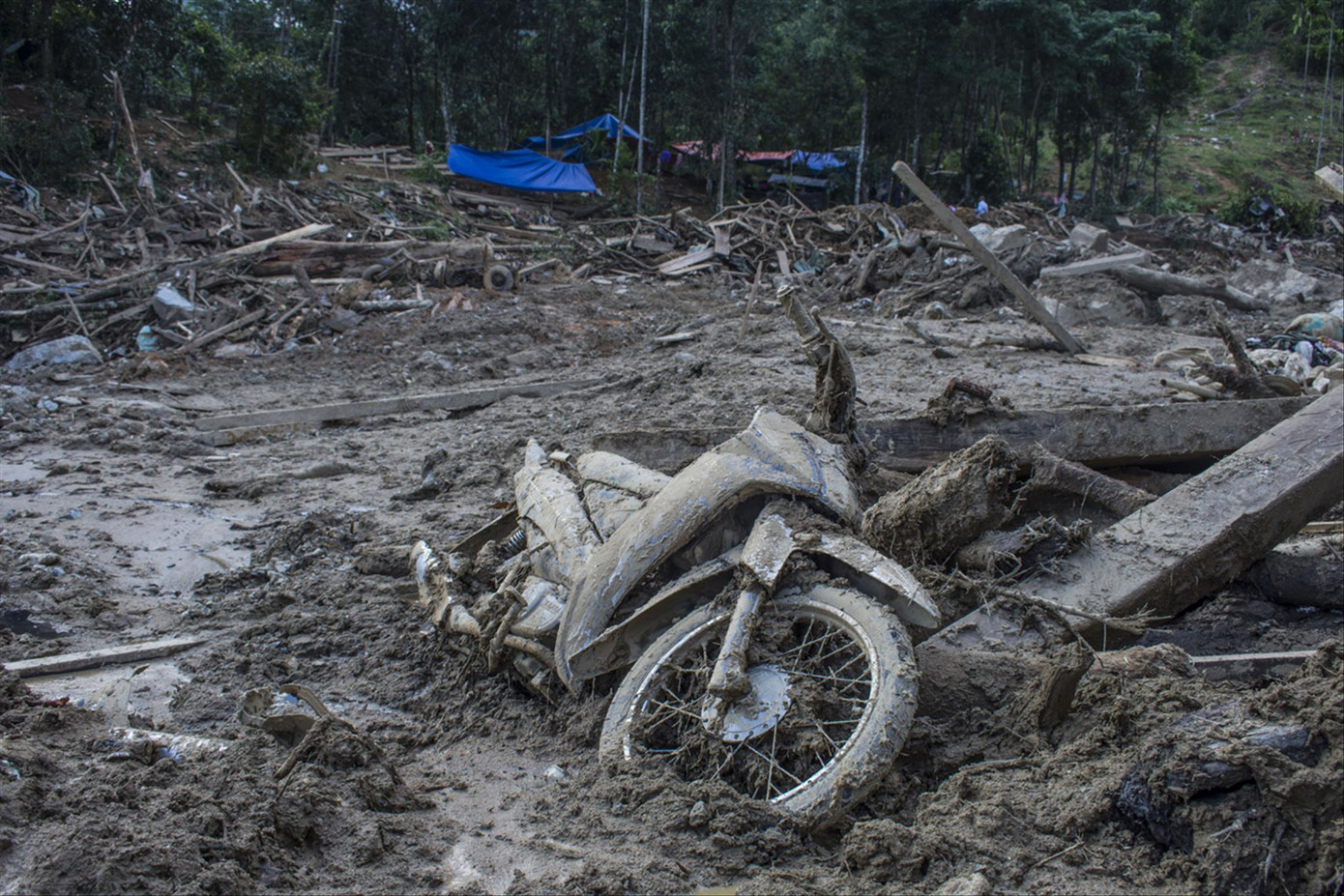 Sạt lở ở Quảng Nam nghiêm trọng nhất trong nhiều năm ảnh 1