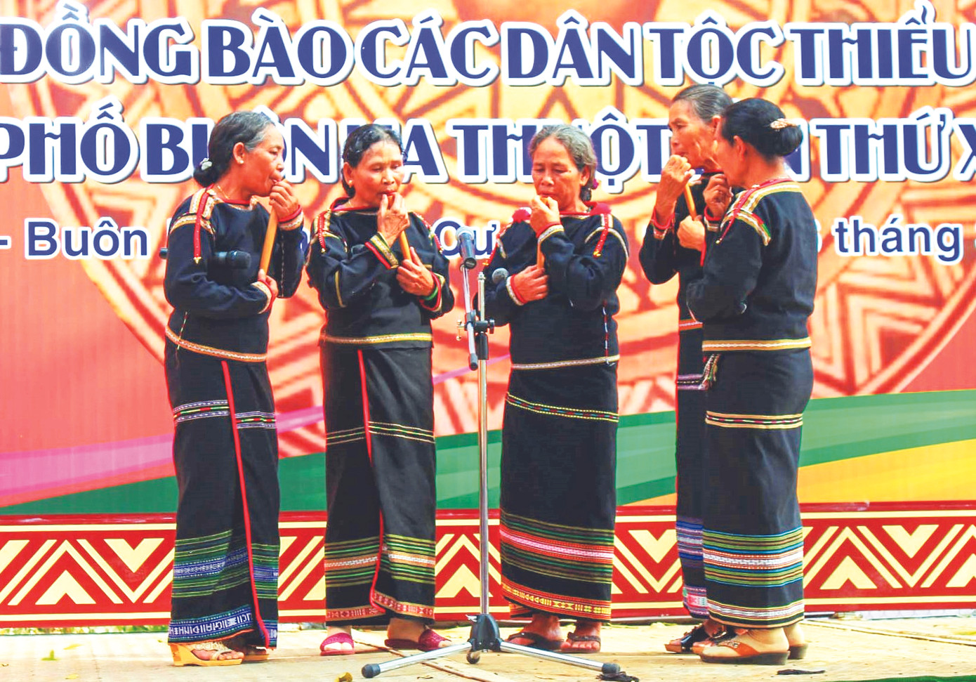 Nhạc tre đi... Tây ảnh 3