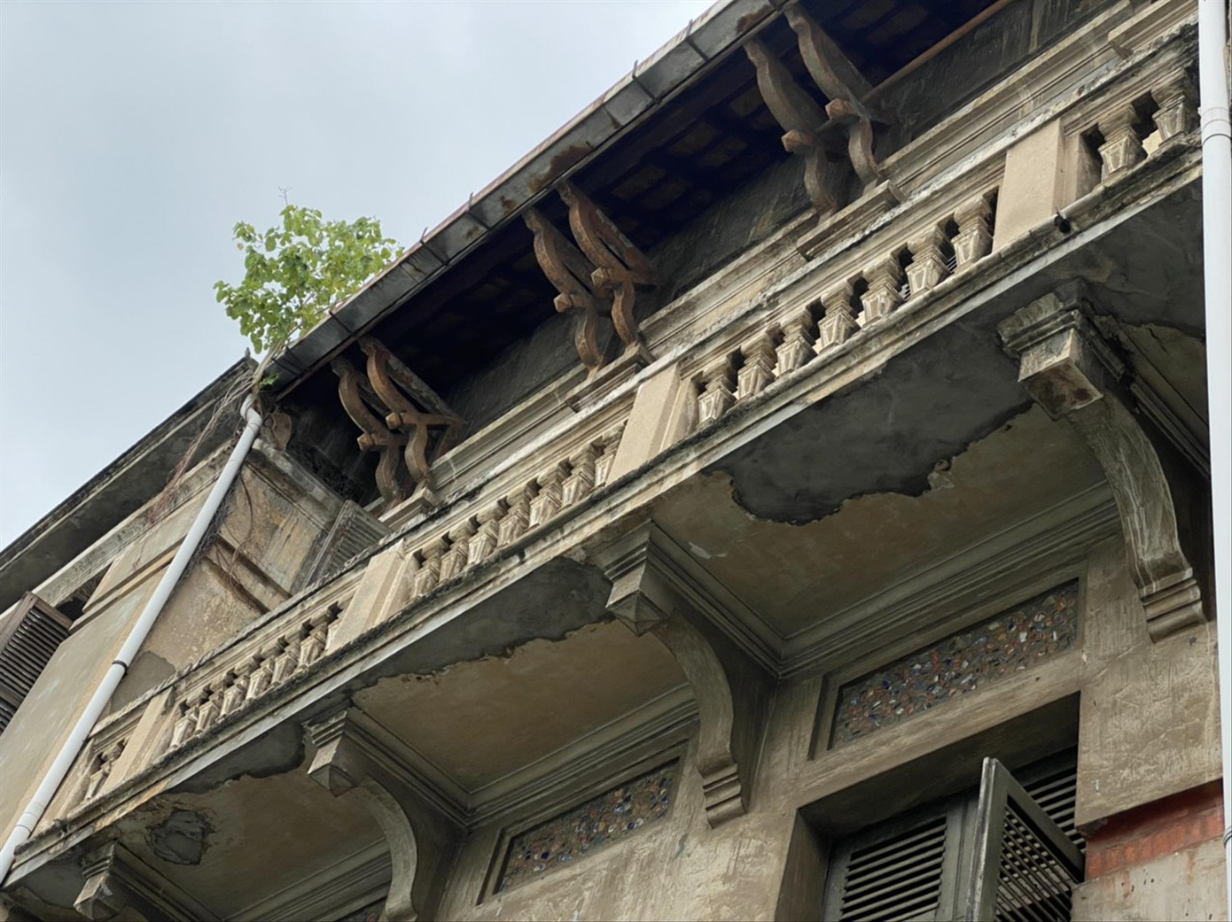 Biệt thự cổ tại TPHCM trước nguy cơ xóa sổ: Những tiếng kêu thương... ảnh 1