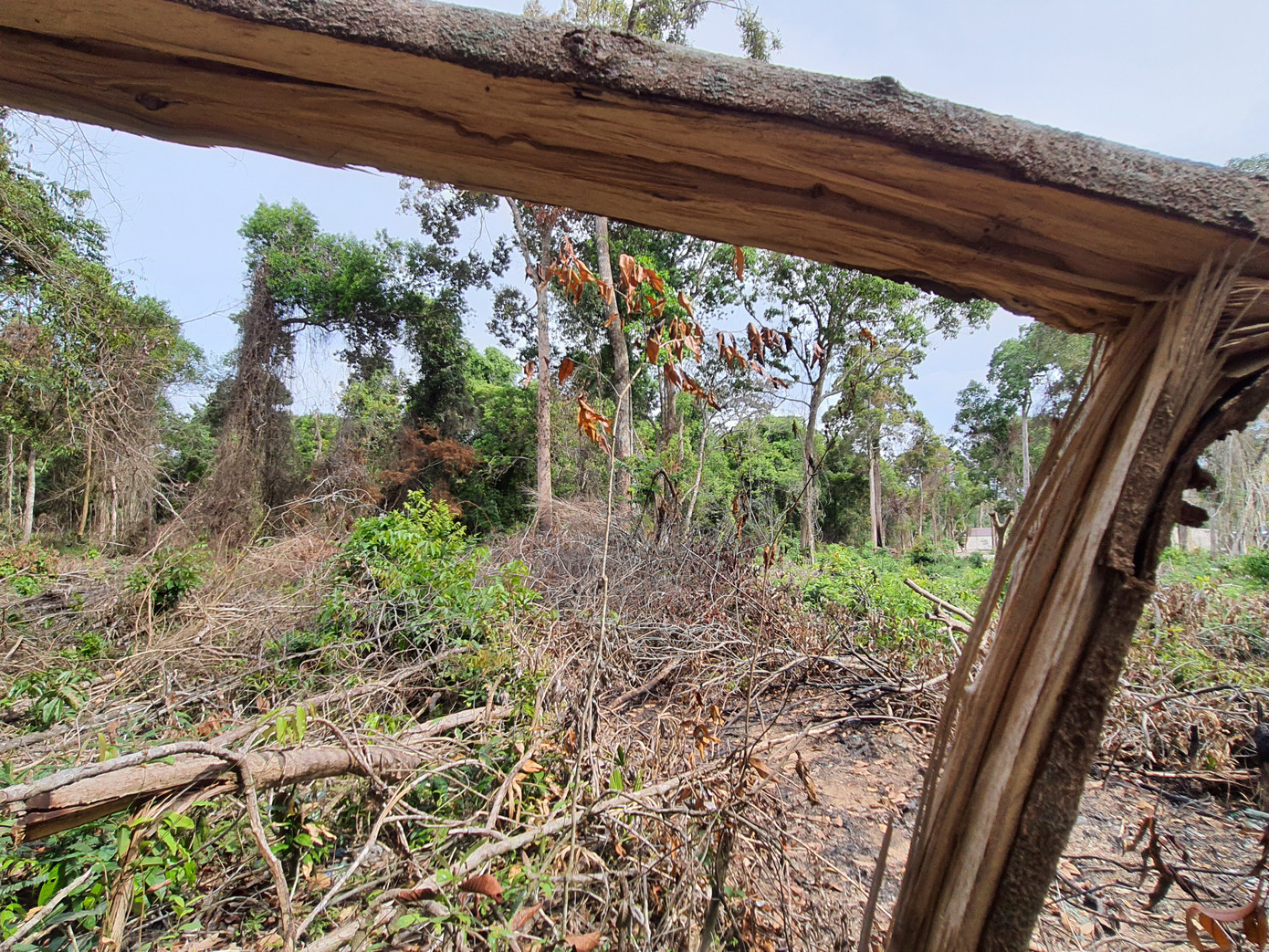 Sai phạm đất đai nghiêm trọng ở Phú Quốc: Tan rừng, nát biển ảnh 1