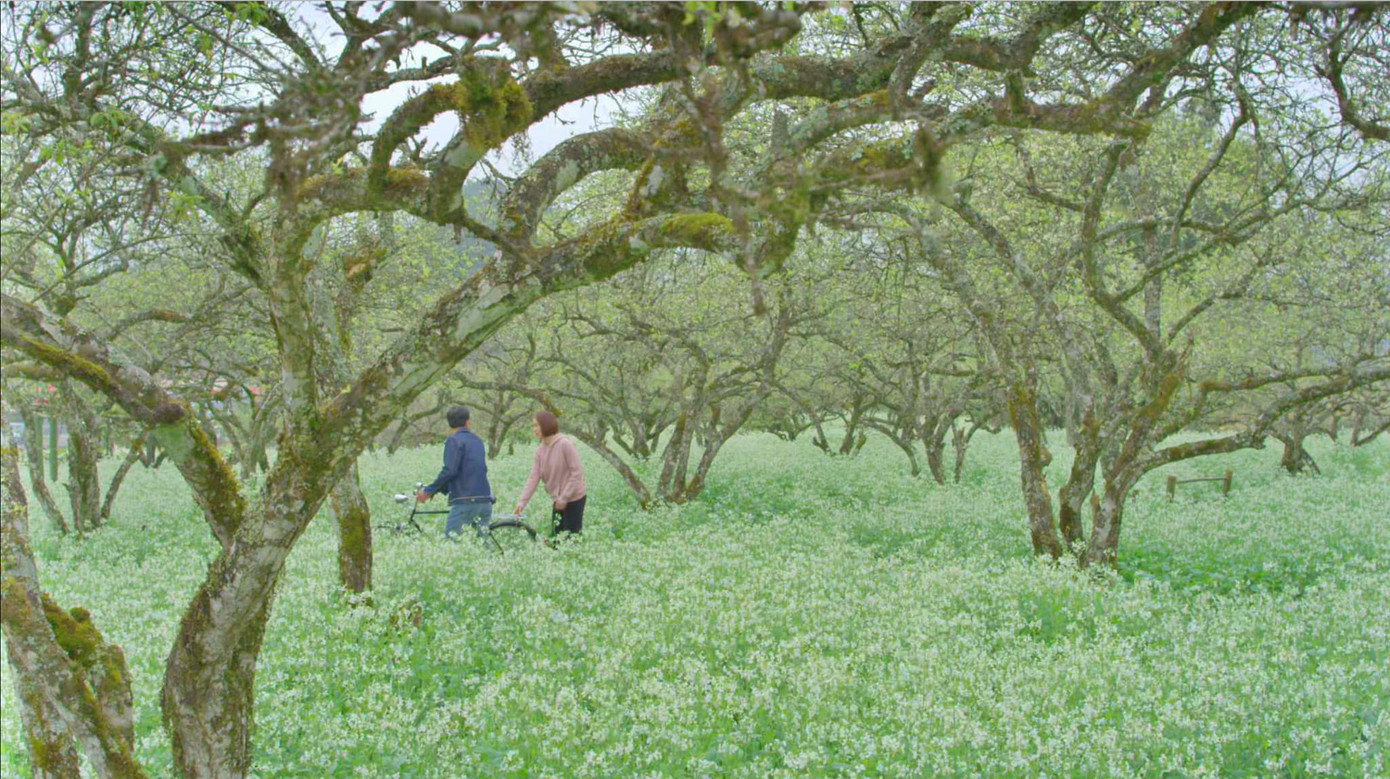 Xuất hiện cảnh Châu (Hồng Diễm) trả thù Kiên (Hồng Đăng) trong 'Hướng dương ngược nắng' ảnh 3