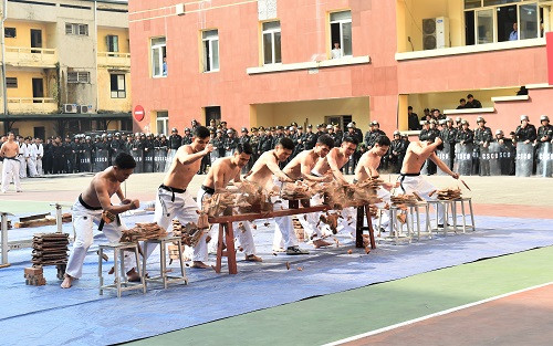 Bộ Tư lệnh Cảnh vệ ra quân bảo vệ Đại hội XIII của Đảng ảnh 2