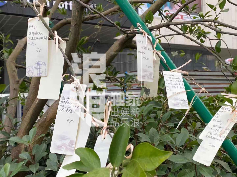 Rơi nước mắt với chia sẻ của bố mẹ Cao Dĩ Tường, hé lộ ‘hợp đồng sinh tử’ ảnh 2