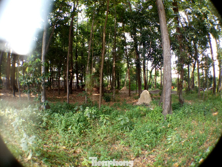 Bí ẩn đường hầm trong ngôi đình cổ 200 năm ở Bình Dương ảnh 10