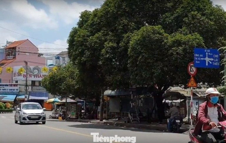 Trạm ép rác trên đất công viên gây bức xúc ở Bình Dương bị ngừng xây dựng ảnh 2