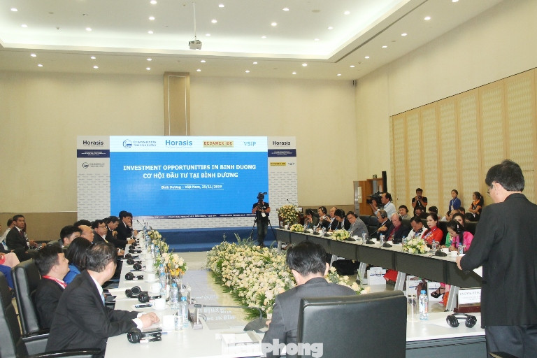 Horasis 2019: Cơ hội đầu tư tại Bình Dương ảnh 2